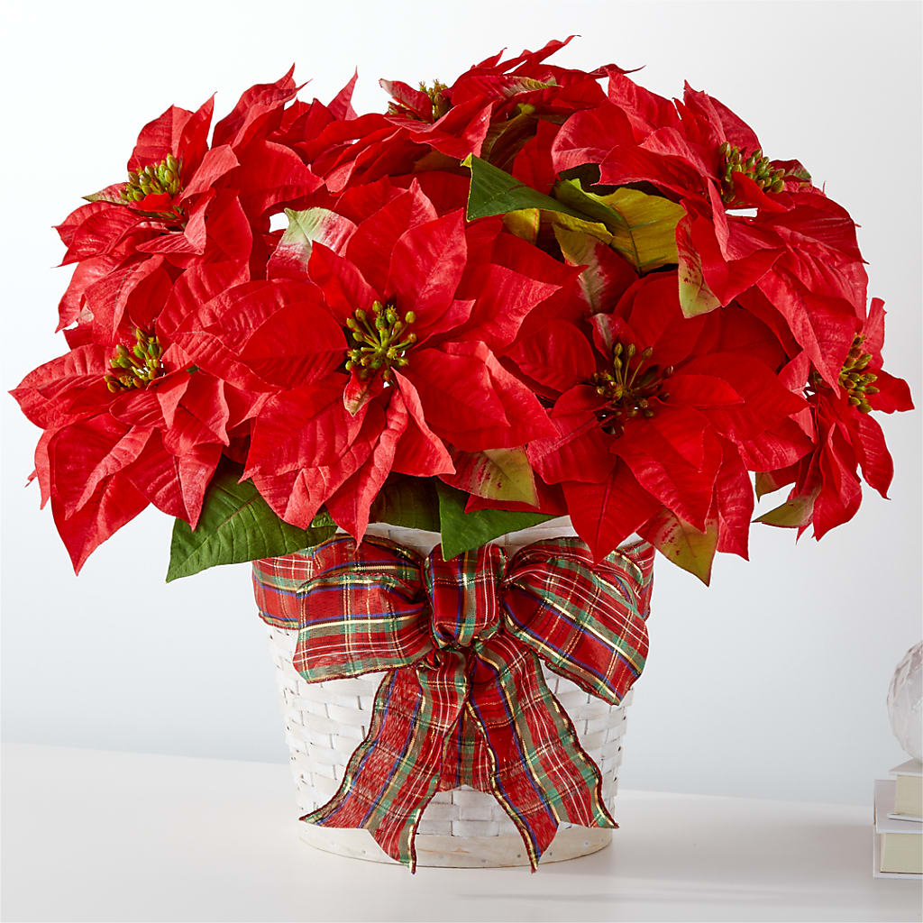 Happiest Holidays Poinsettia – Citrus Valley Florist, West Covina CA