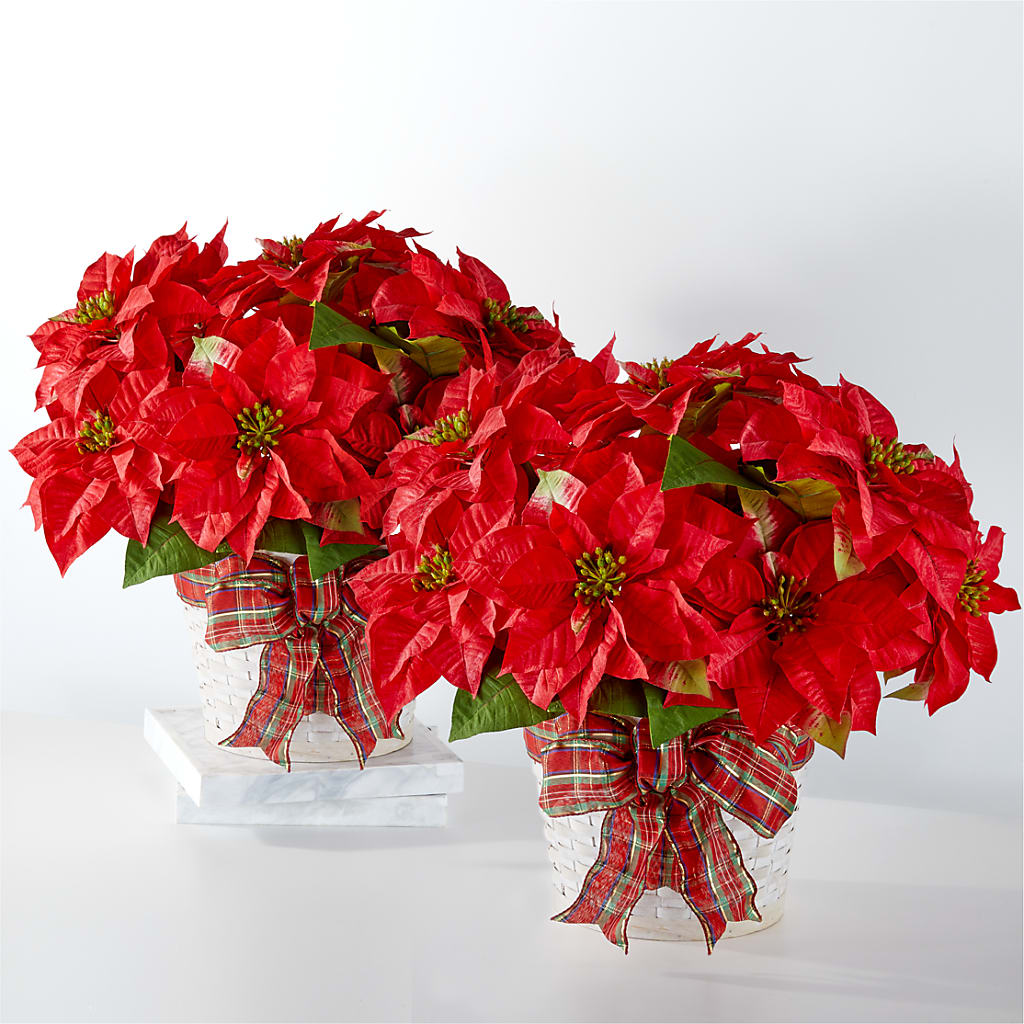 Happiest Holidays Poinsettia Bundle – Citrus Valley Florist, West Covina CA