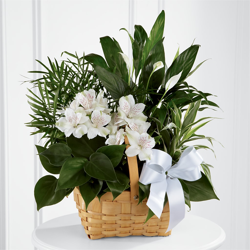 Peace & Serenity Dishgarden – Citrus Valley Florist, West Covina CA