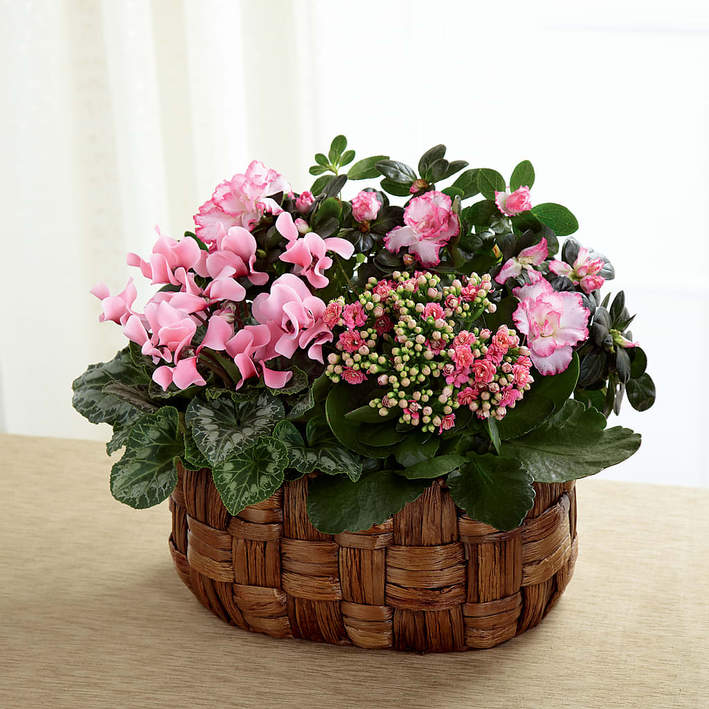 Pink Assortment – Citrus Valley Florist, West Covina CA