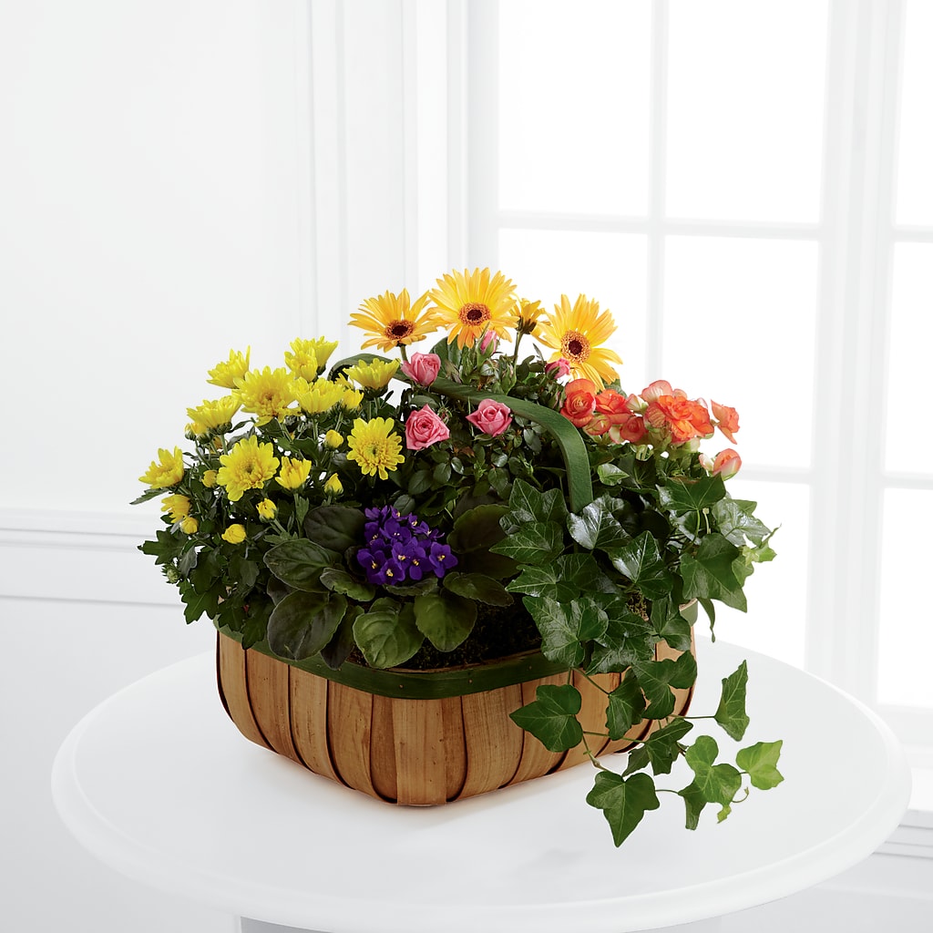 Gentle Blossoms Basket – Citrus Valley Florist, West Covina CA
