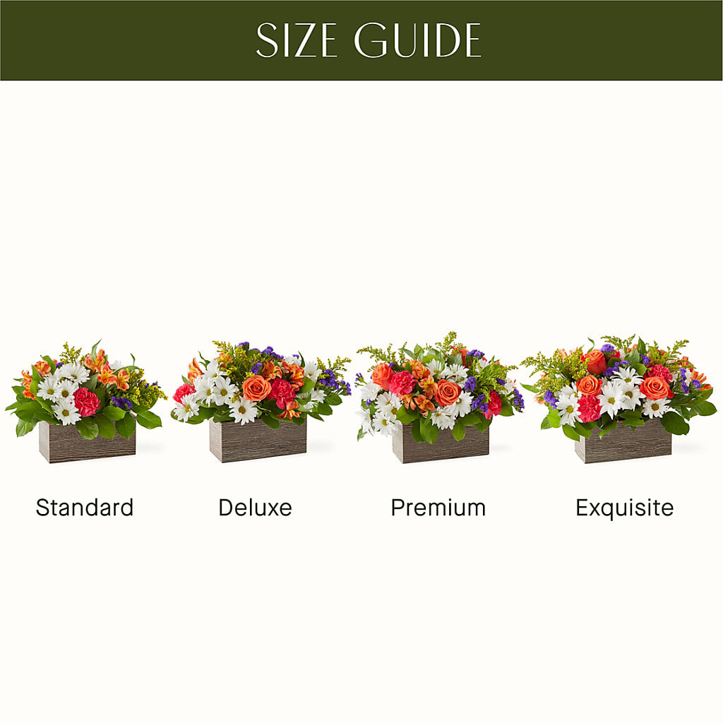 Oopsie Daisy Box Bouquet – Citrus Valley Florist, West Covina CA