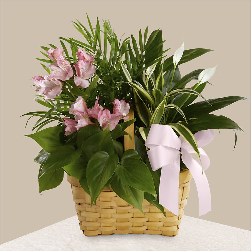 Living Spirit Dishgarden – Citrus Valley Florist, West Covina CA
