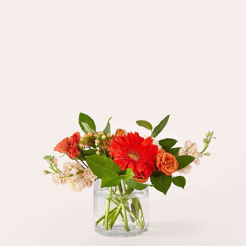 Paloma Please Bouquet – Citrus Valley Florist, West Covina CA