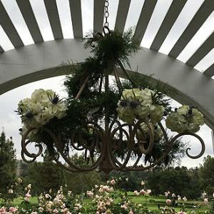 025 –  Citrus Valley Florist, West Covina CA