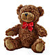 Adorable Plush Bear –  Citrus Valley Florist, West Covina CA