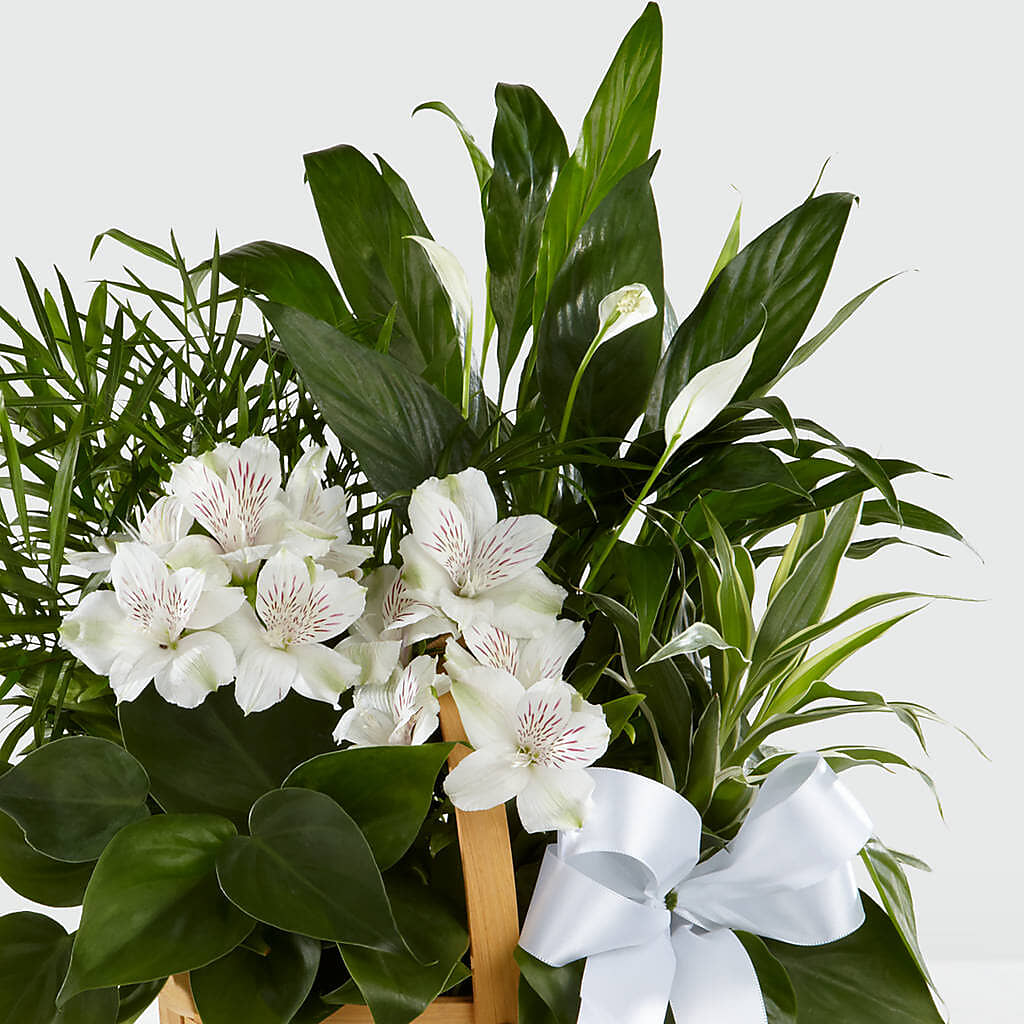 Peace & Serenity Dishgarden –  Citrus Valley Florist, West Covina CA