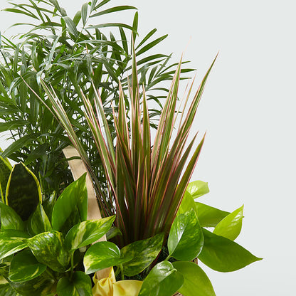 French Garden –  Citrus Valley Florist, West Covina CA