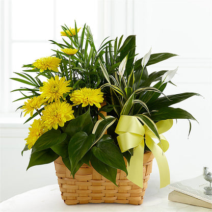 Loving Light Dishgarden –  Citrus Valley Florist, West Covina CA
