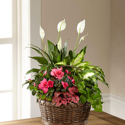 Dream in Pink Dishgarden –  Citrus Valley Florist, West Covina CA