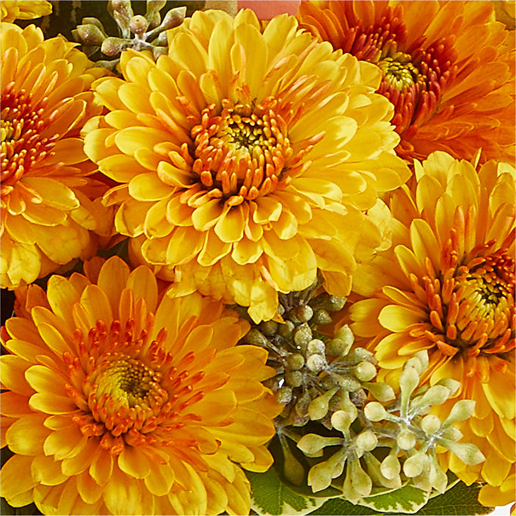 Peachy Pumpkin –  Citrus Valley Florist, West Covina CA