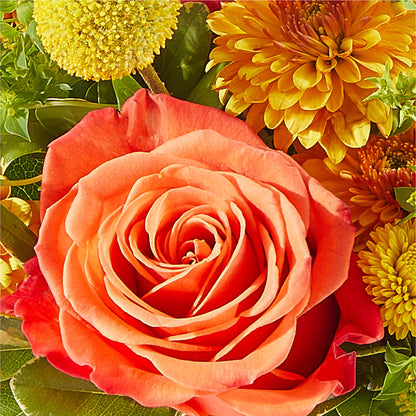 Gourdgeous Pumpkin –  Citrus Valley Florist, West Covina CA