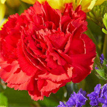 Brighter Days Bouquet –  Citrus Valley Florist, West Covina CA