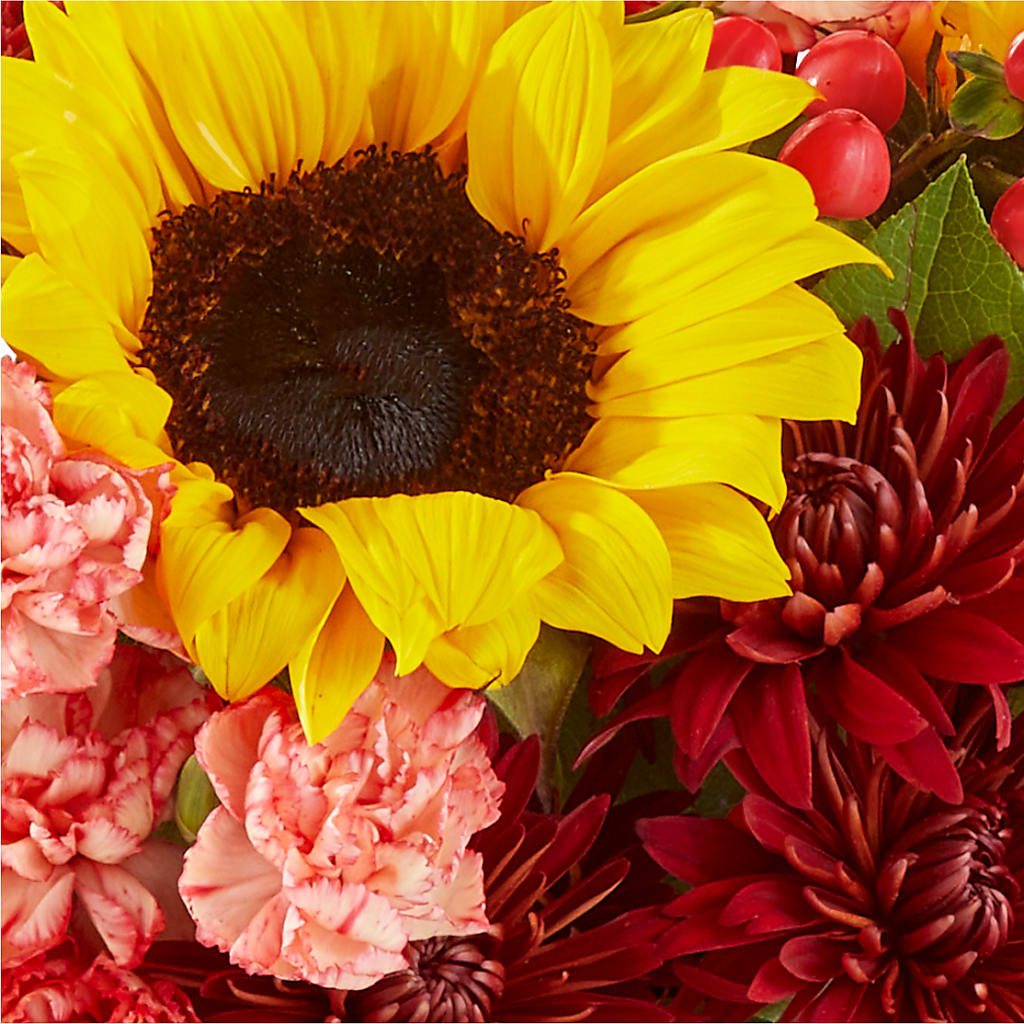 Fresh Cider Bouquet –  Citrus Valley Florist, West Covina CA