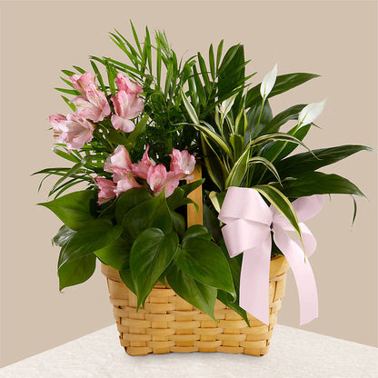 Living Spirit Dishgarden –  Citrus Valley Florist, West Covina CA