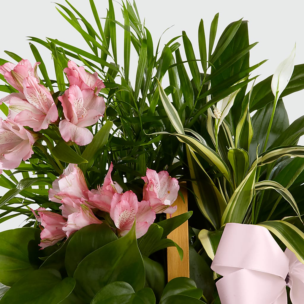 Living Spirit Dishgarden –  Citrus Valley Florist, West Covina CA