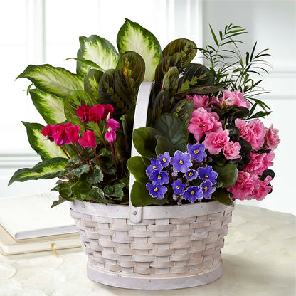Peaceful Garden Planter –  Citrus Valley Florist, West Covina CA