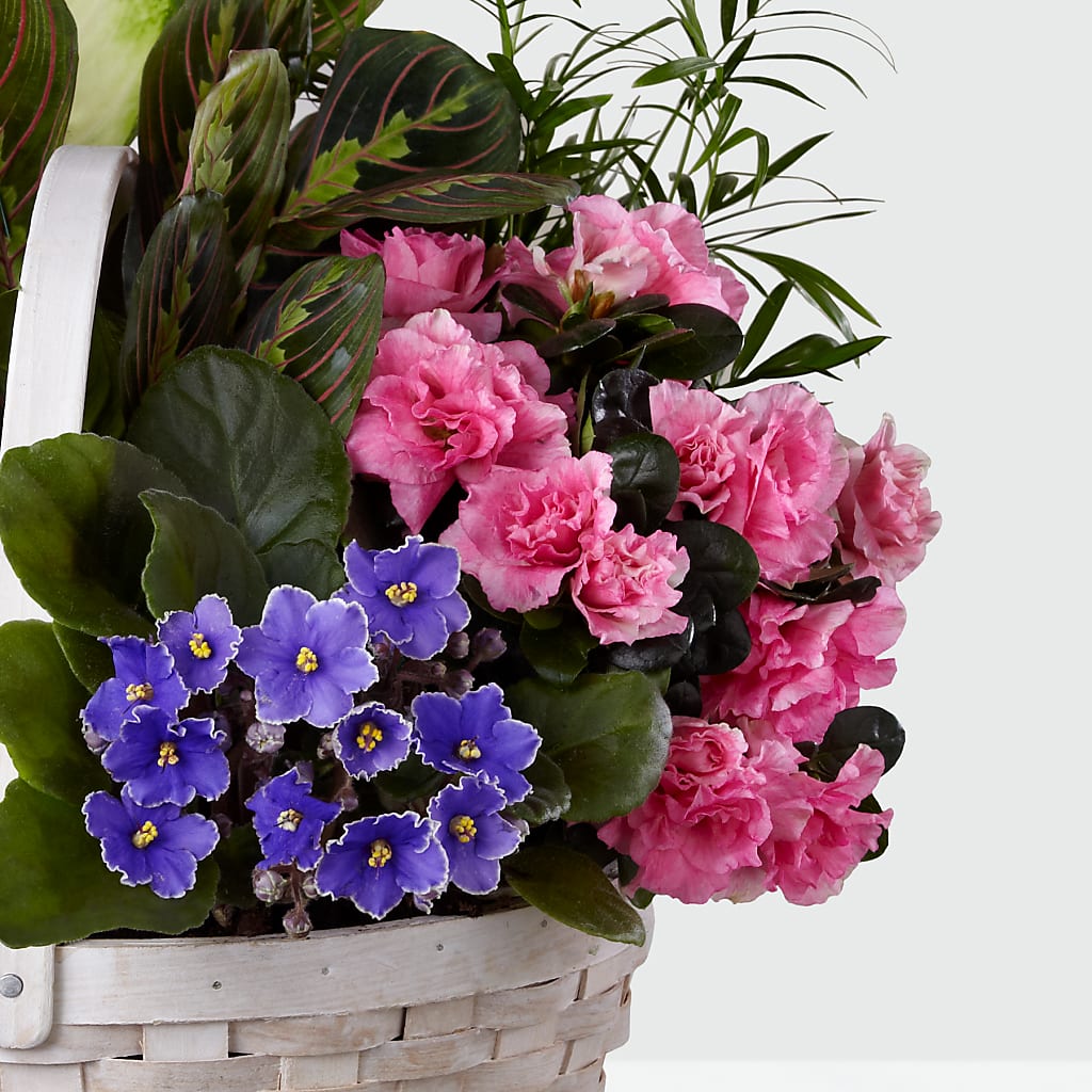 Peaceful Garden Planter –  Citrus Valley Florist, West Covina CA