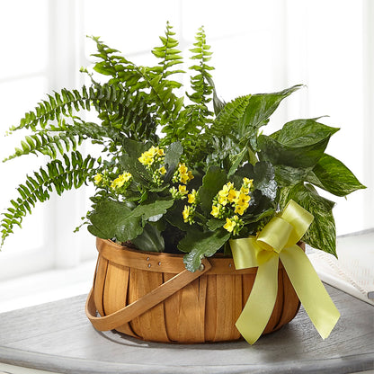 Always Dear Dishgarden –  Citrus Valley Florist, West Covina CA