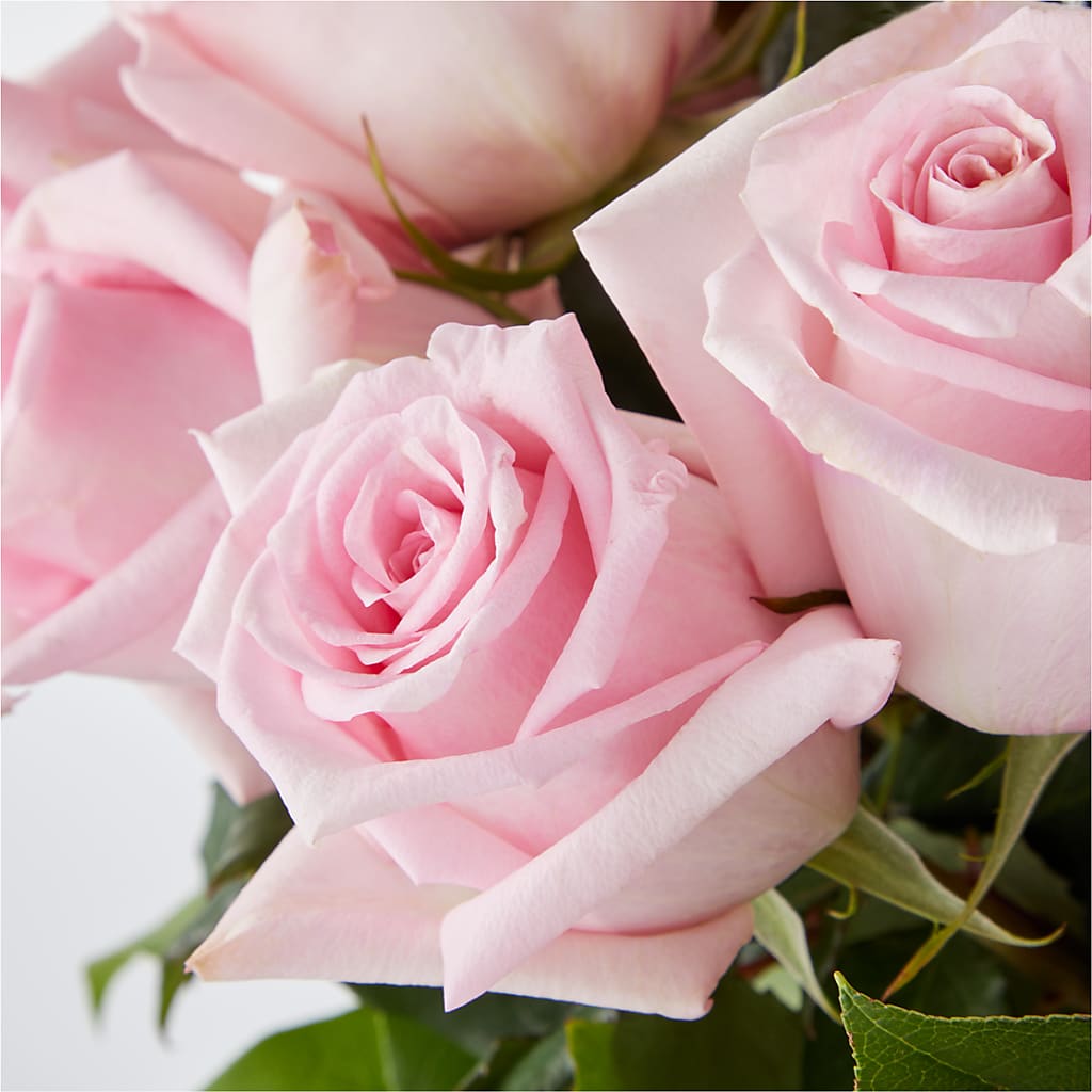 Picture Perfect Pink Rose Bouquet –  Citrus Valley Florist, West Covina CA