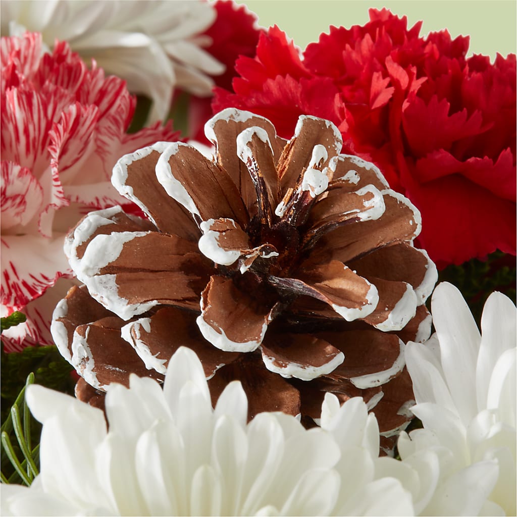 Candy Cane Lane Bouquet –  Citrus Valley Florist, West Covina CA