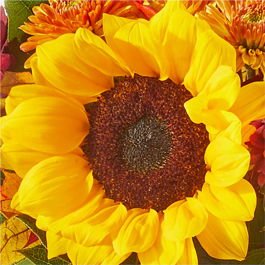 Sunny Side Bouquet –  Citrus Valley Florist, West Covina CA