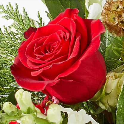 Deck the Halls Bouquet –  Citrus Valley Florist, West Covina CA