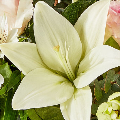 Ballet Slippers Bouquet –  Citrus Valley Florist, West Covina CA