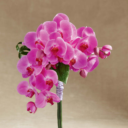Glorious Bouquet –  Citrus Valley Florist, West Covina CA