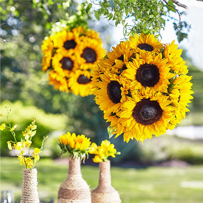 Sublime Garden Hanging Arrangement –  Citrus Valley Florist, West Covina CA