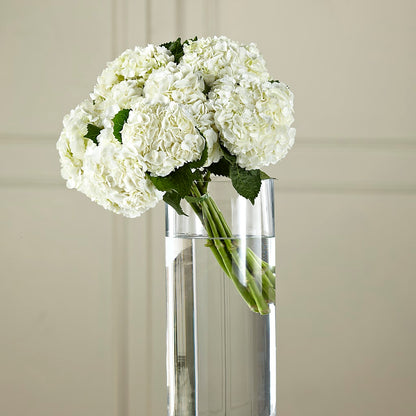 White Hydrangea Hand-Tied Bouquet –  Citrus Valley Florist, West Covina CA