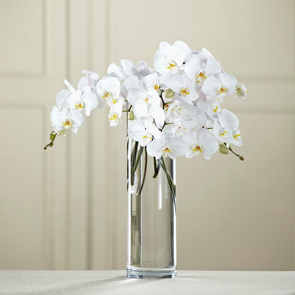 White Phalaenopsis Bouquet –  Citrus Valley Florist, West Covina CA